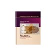 Fundamentos de Matemática - Álgebra: Estruturas Algébricas Básicas e Fundamentos da Teoria dos Númer