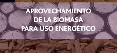 "Aprovechamiento de la Biomasa para Uso Energetico" da Ed. Reverté