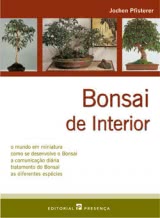 Bonsai de Interior