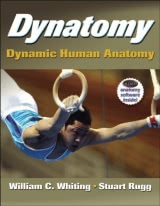 Dynatomy: Dynamic Human Anatomy