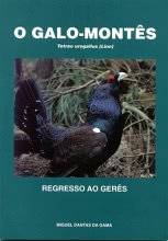 O galo-montês Tetrao urogallus (Linn) - regresso ao Gerês