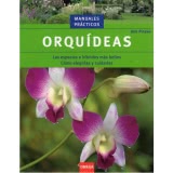 ORQUÍDEAS - Las especies e híbridos más bellos