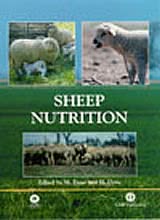 Sheep Nutrition