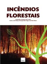 Incêndios Florestais