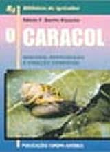 O Caracol