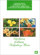 Gerbera , Lilium, Tulipán y Rosa