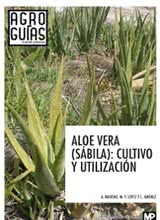 Aloe vera Sábila Cultivo y utilización