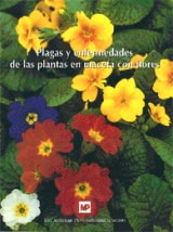 Plagas y enfermedades de las plantas en maceta con flores
