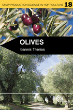 Olives - 18