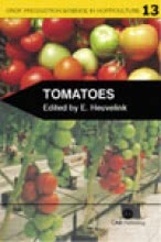 Tomatoes 13