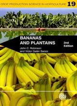Bananas and Plantains - 19