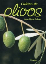 Cultivos de Olivos