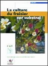 La Culture Du Fraisier Sur Substrat