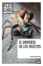 El universo de los insectos