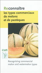 RECONNAITRE LES TYPES COMMERCIAUX DE MELONS ET DE PASTEQUES