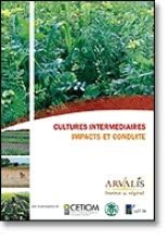 Cultures intermédiaires - Impacts et conduite