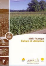Maïs fourrage - Culture et utilisation