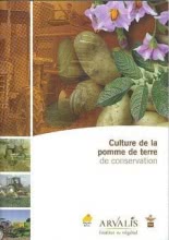 Culture de la pomme de terre de conservation