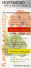 Hortimémo : Plantes à massifs