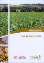 Culture et utilisation. Sorgho grain (Pro-Sorgho)