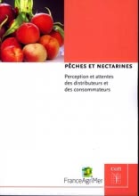 PECHES ET NECTARINES : PERCEPTION DES DISTRIBUTEURS ET DES CONSOMMATEURS