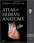 Atlas of Human Anatomy - 7th Edition