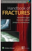 Handbook of Fractures