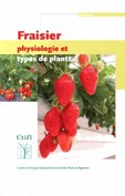 FRAISIER - PHYSIOLOGIE ET TYPES DE PLANTS