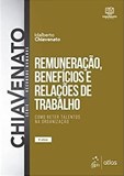 REMUNERAÇÃO, BENEFÍCIOS E RELAÇÕES DE TRABALHO - COMO RETER TALENTOS NA ORGANIZA
