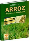 Arroz - do Plantio à Colheita