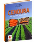 Cenoura - do plantio à colheita
