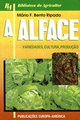 A Alface